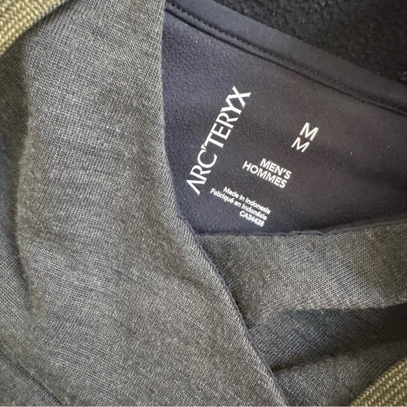 Arcteryx Elgin Hoodie - Picture 4 of 7